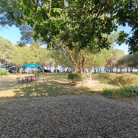 Au Bord De Thau Maison De Charme Et Parc Marseillan (Herault)