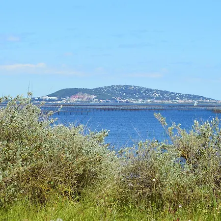 Au Bord De Thau Maison De Charme Et Parc Marseillan (Herault)