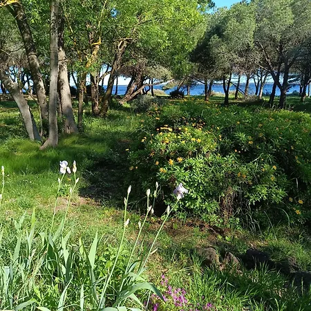 Au Bord De Thau Maison De Charme Et Parc *