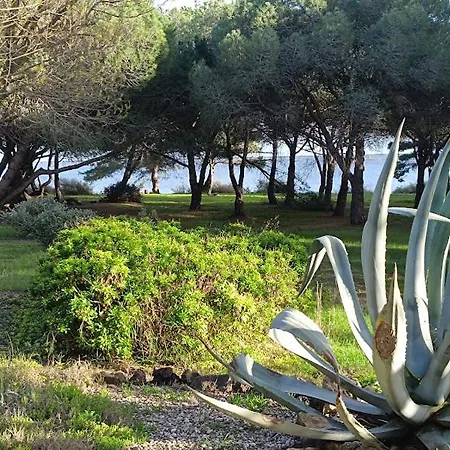 Feriehus Au Bord De Thau Maison De Charme Et Parc Marseillan (Herault)