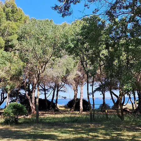 Au Bord De Thau Maison De Charme Et Parc بيت للعطل